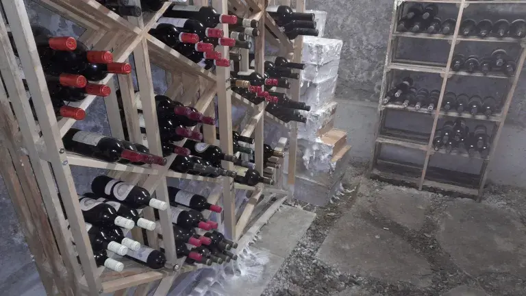 Hausschwamm Hausschwamm